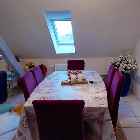 Appartement Spacieux A Ingersheim Avec Vue Sur Jardin 100 M² エクステリア 写真