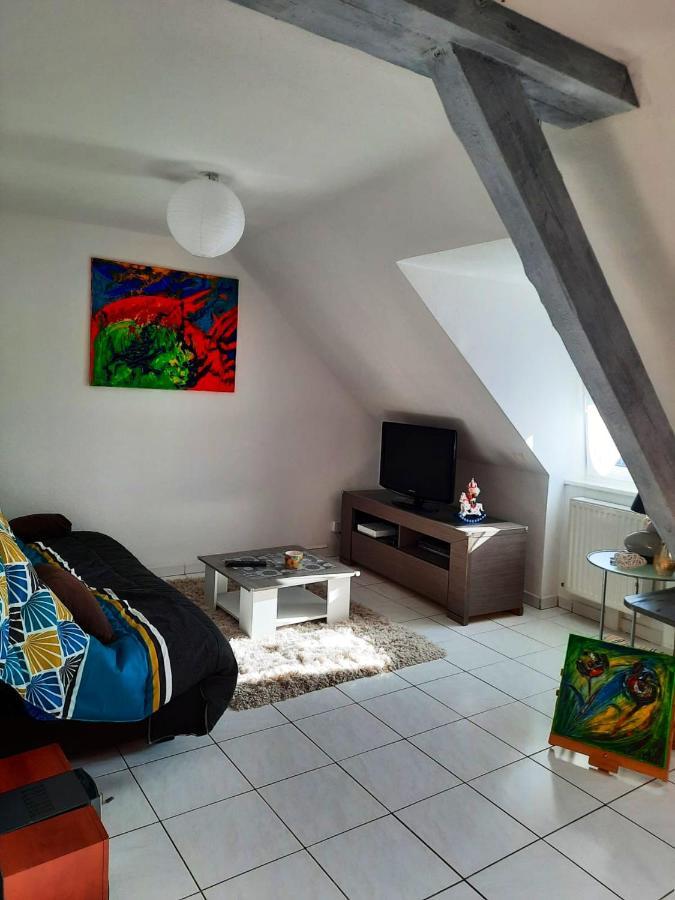 Appartement Spacieux A Ingersheim Avec Vue Sur Jardin 100 M² エクステリア 写真