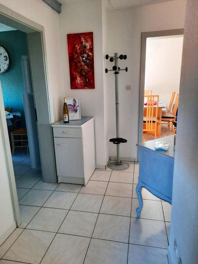 Appartement Spacieux A Ingersheim Avec Vue Sur Jardin 100 M² エクステリア 写真